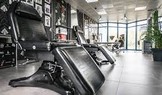 News: 07. Mai 2023 - Tattoo Circle Passau - zertifiziertes Seminar "Hygiene im Tattoo Studio" (09.02.2023)
